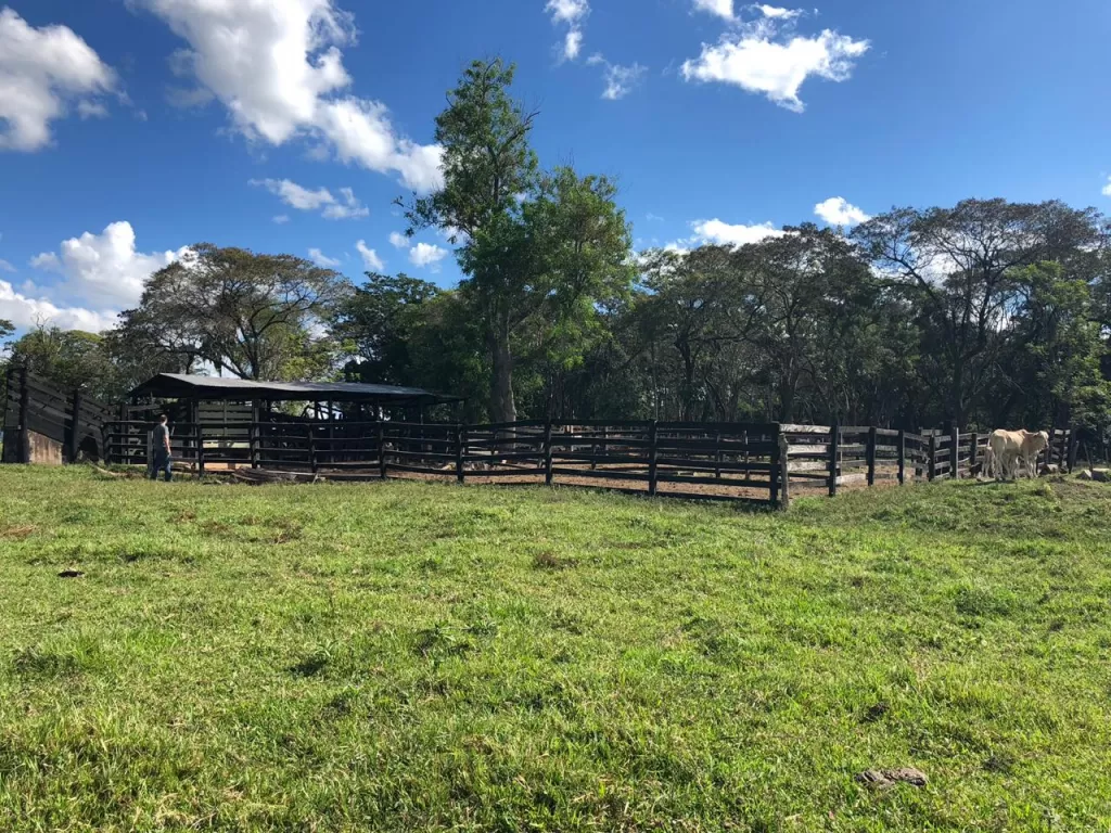 VENDO CAMPO EN PARAGUARÍ - TEBICUARYMI — foto 2