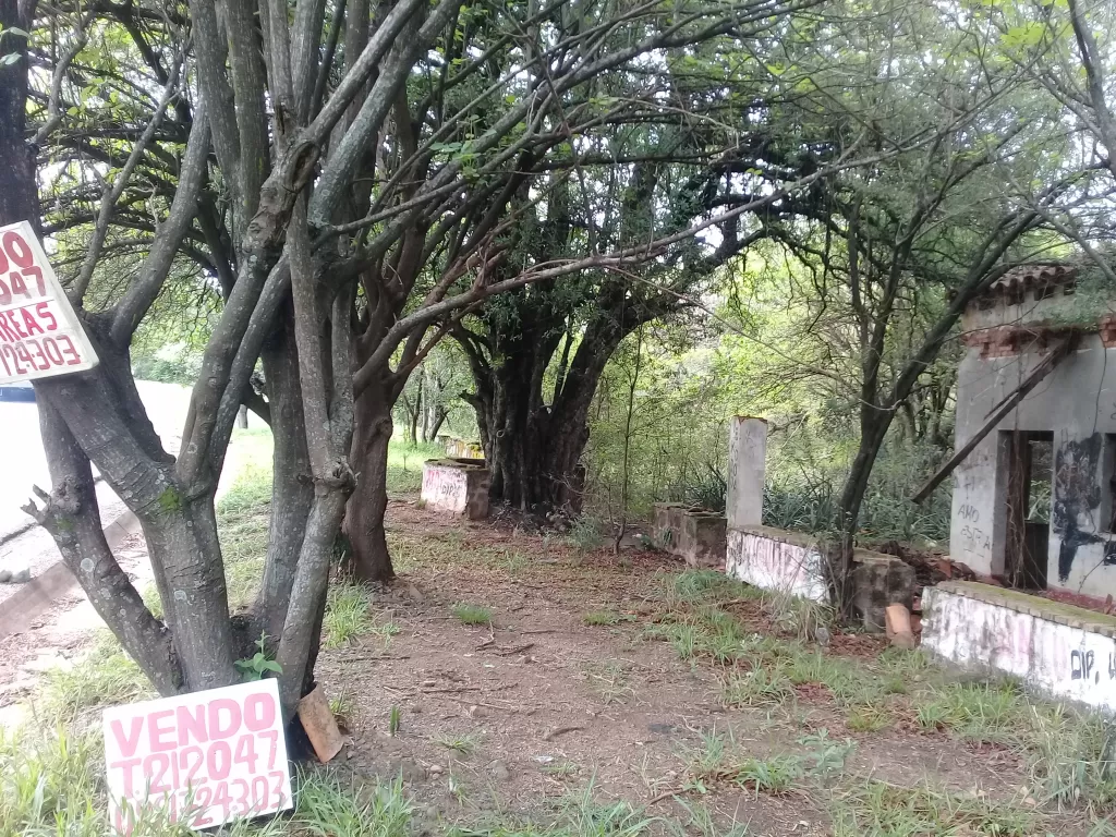 6 HECTAREAS Y MEDIA EN CERRO CAACUPE SOBRE RUTA INTERNACIONAL Nº 2 — foto 3