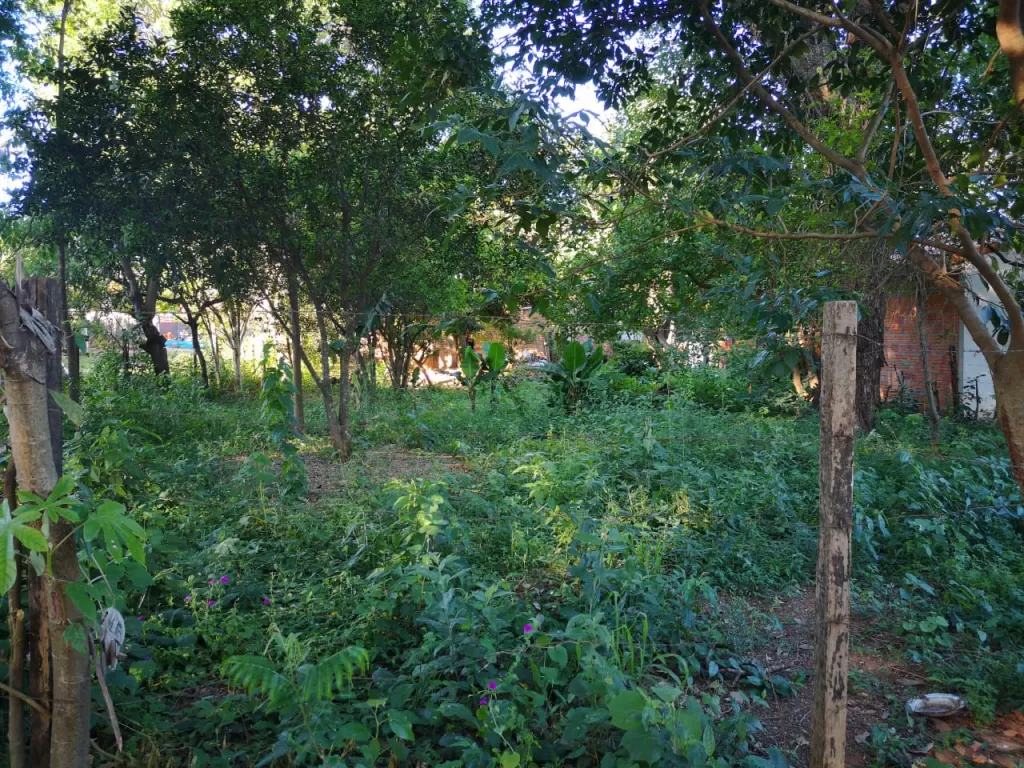 VENDO TERRENO EN MRA DETRAS DE AEROPUERTO 360,11M2 — foto 3