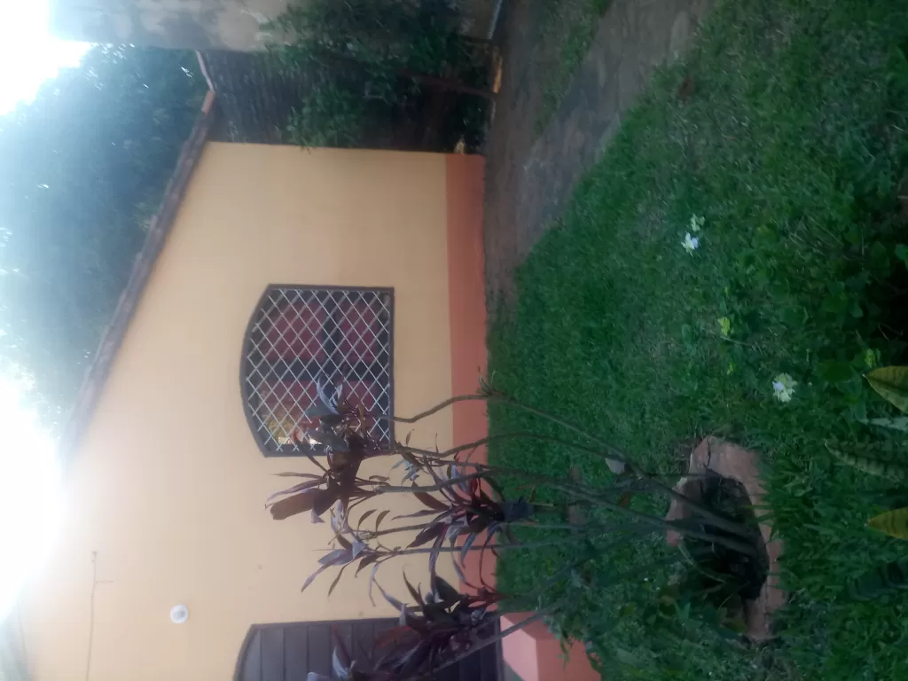 VENDO CASA LUQUE-MORACUE 12x30 ECOMPRAMI PUE YA — foto 2