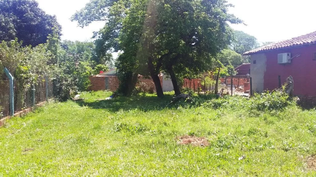VENDO TERRENO! — foto 2