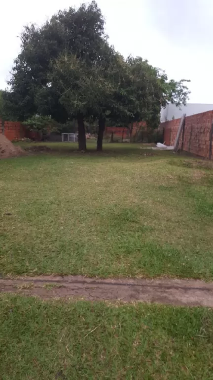 Terreno en zona Conmebol — foto 3