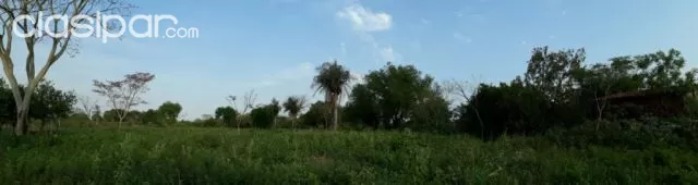 VENDO 6 LOTES JUNTOS O POR SEPARADO EN YPANE — foto 2