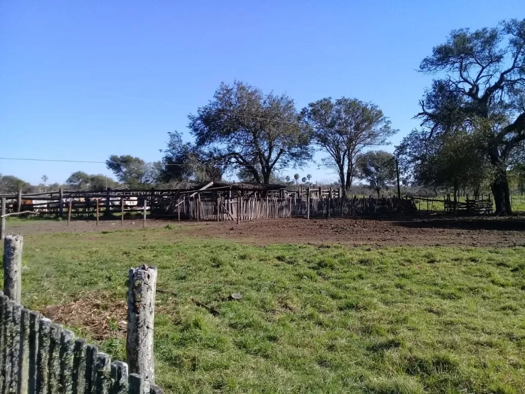 Venta de Campo Zona Gral. Brugues — foto 2