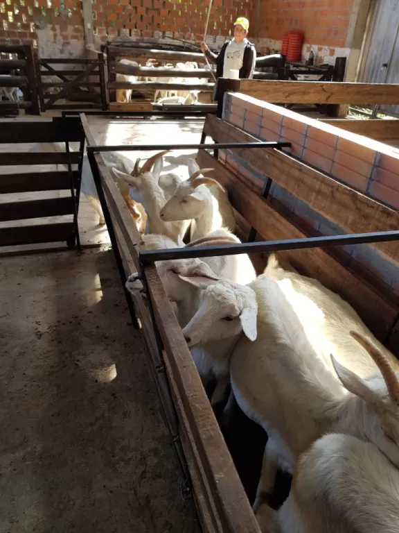 Granja en Emboscada 6.3 Hectareas — foto 3