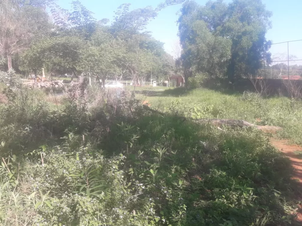 OFERTA� VENDO 3 LOTES EN LUQUE-MARAMBURE.FINANCIO!! 250.000.000gs. — foto 2