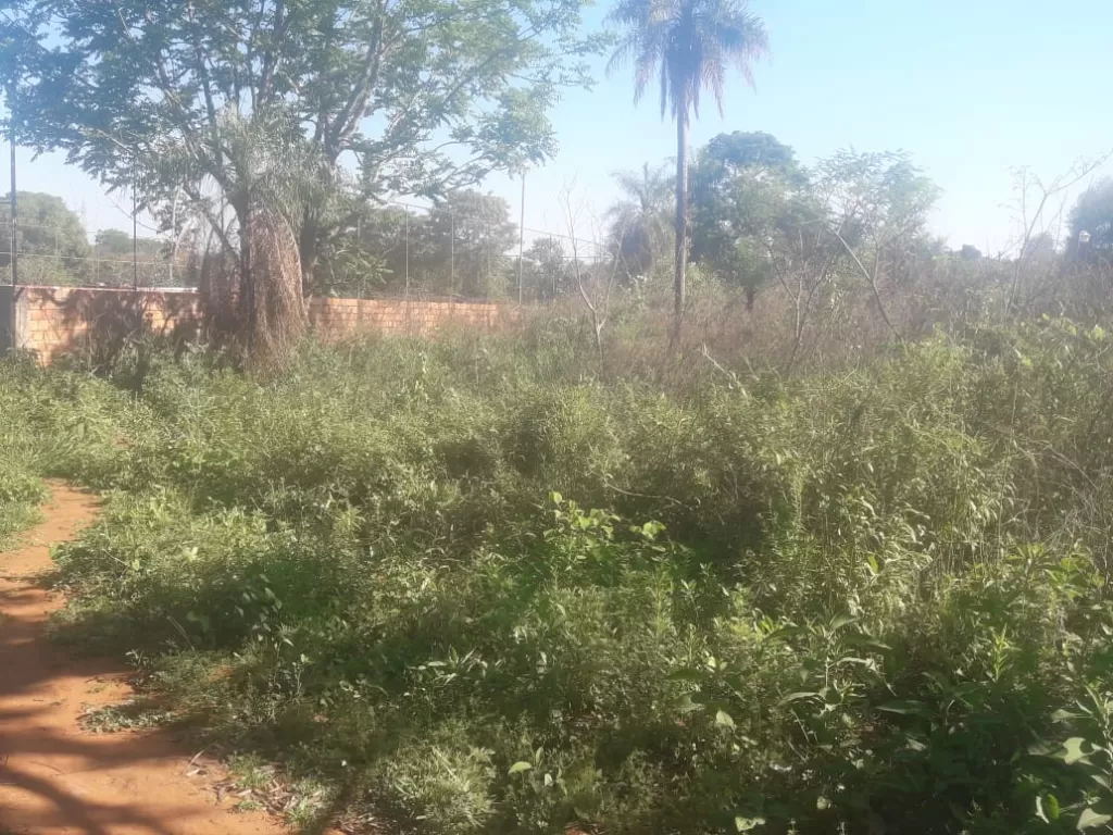 OFERTA� VENDO 3 LOTES EN LUQUE-MARAMBURE.FINANCIO!! 250.000.000gs. — foto 3