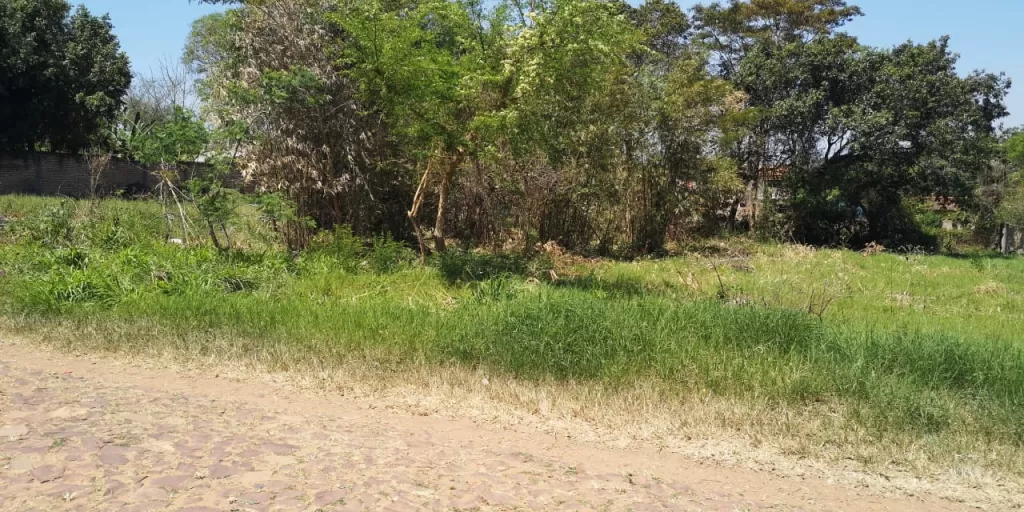 VENDO TERRENO EN LA CIUDAD DE SAN ANTONIO — foto 2
