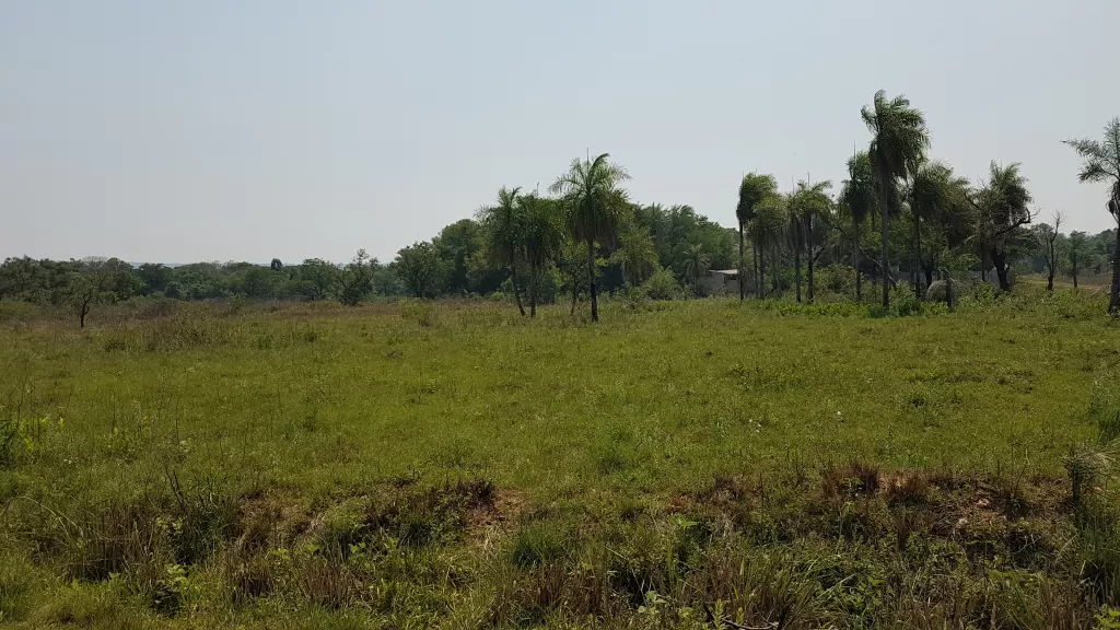 VENDO DOS TERRENOS JUNTOS EN EL CORTIJO. SAN BERNARDINO — foto 2