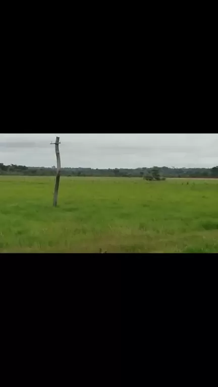 VENDO ESTANCIA EN BELEN — foto 2