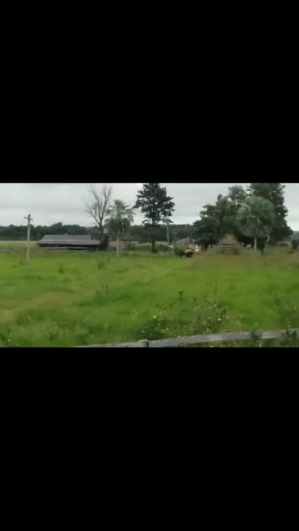 VENDO ESTANCIA EN BELEN — foto 3
