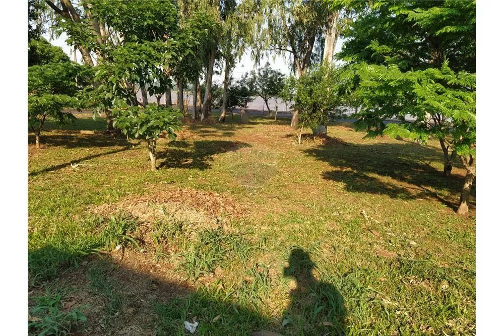 VENDO TERRENO EN EL BARRIO LA PAZ - ENCARNACION — foto 3