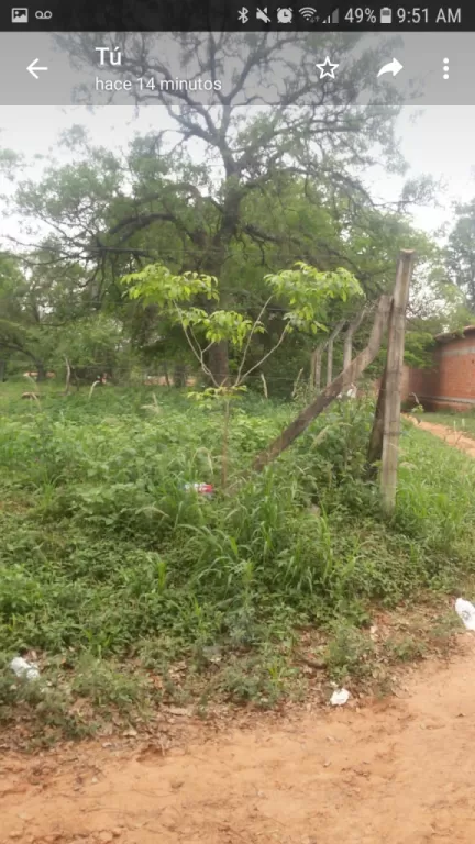 venta terreno mariano roque alanzo — foto 2