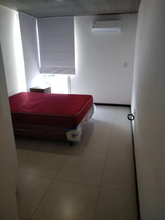 VENDO DEPARTAMENTO EN EL BARRIO EL MANGAL — foto 3