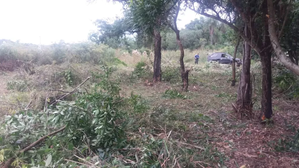 Terreno en sanber detras del club El cortijo — foto 2