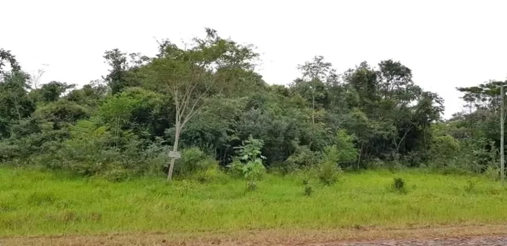 Vendo 11 hts en san pedro del paraná — foto 2