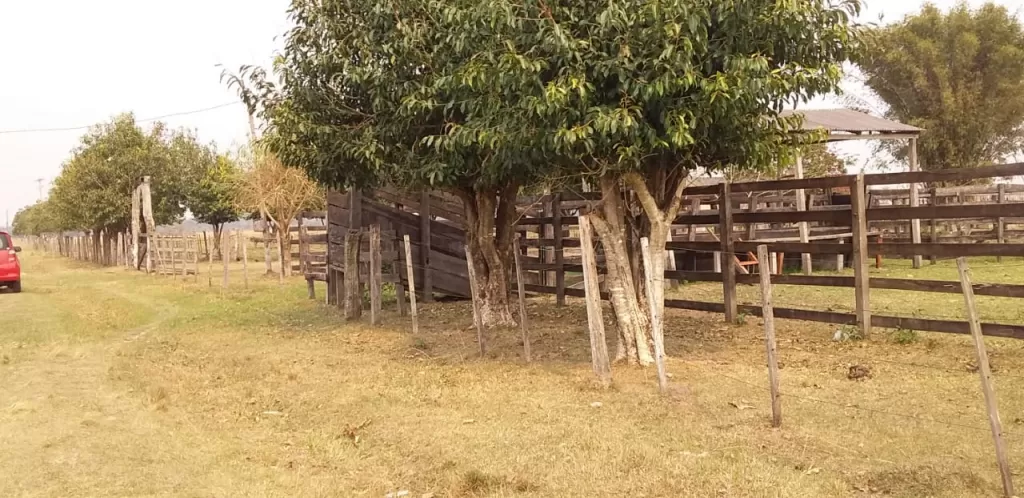 Vendo Hermosa Propiedad Carayao-Paraguay — foto 2