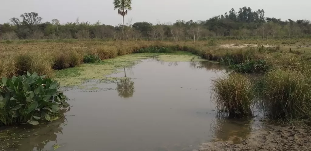 Vendo Hermosa Propiedad Carayao-Paraguay — foto 3
