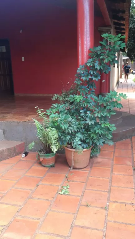 VENDO CASA B° SANTA MARÍA SECTOR SEMINARIO — foto 3
