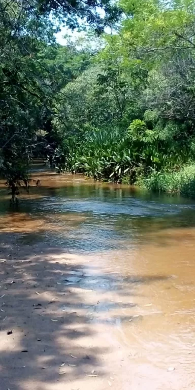 Paradisiacos Inmueble en la ciudad de Caacupé y Piribebuy — foto 2