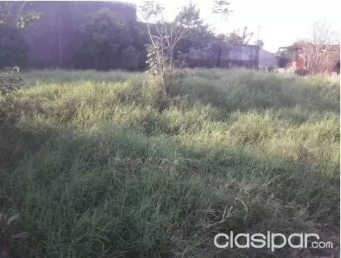 Terreno en Santa Ana — foto 2