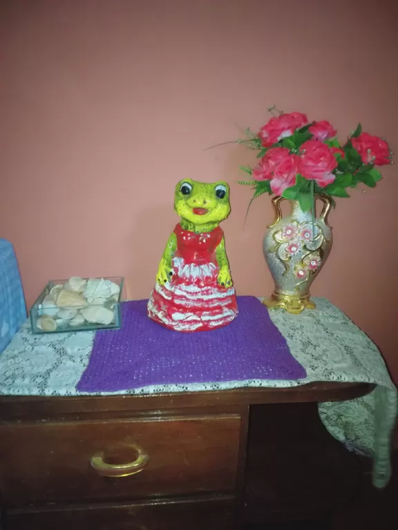 Hospedaje en luque cerca del aeropuerto — foto 2