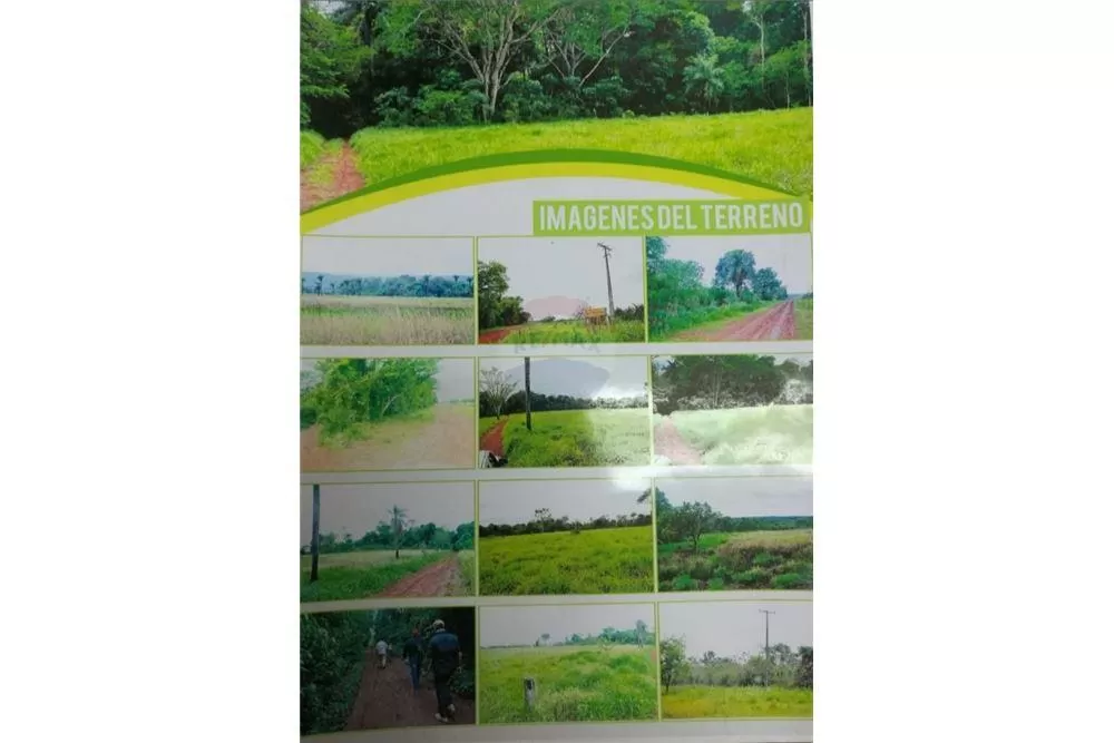Vendo Hermosa Propiedad de 31 Ha sobre Rio Paraná — foto 2