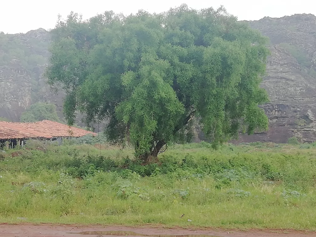 Hermoso Terreno en Tobatí — foto 3