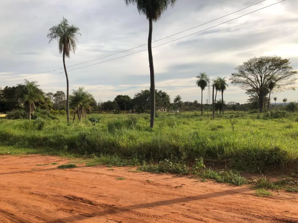 Terrenos en Capiata Ruta 2 Km 18 — foto 2