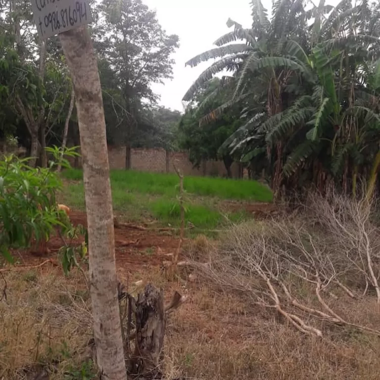 OFERTA!! VENDO TERRENO EN KM 9 ACARAY — foto 2