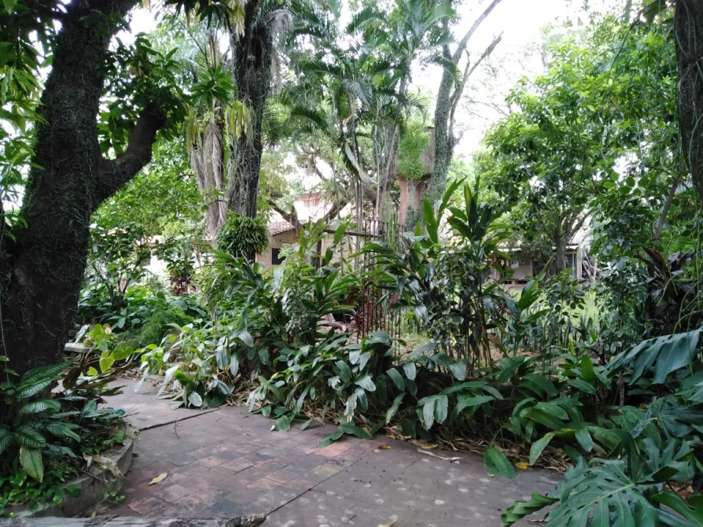 VENDO AMPLIO TERRENO EN ESQUINA DE CASI 4.000 M2 SOBRE AVDA. VENEZUELA — foto 2