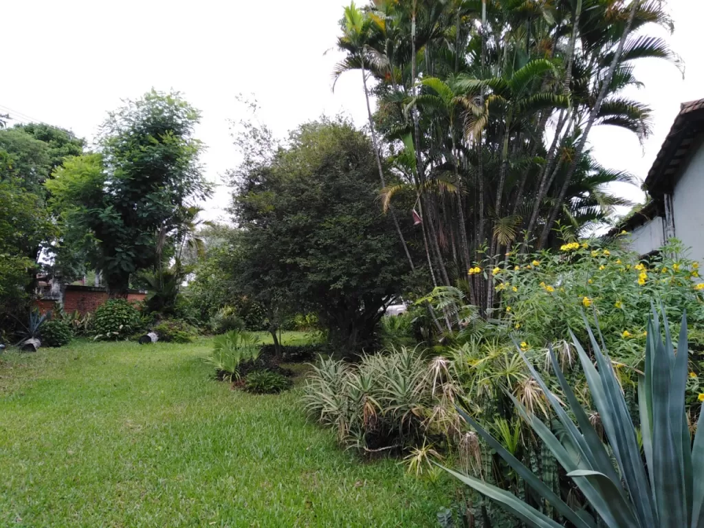 VENDO AMPLIO TERRENO EN ESQUINA DE CASI 4.000 M2 SOBRE AVDA. VENEZUELA — foto 3