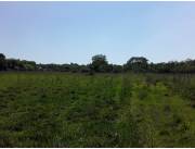 VENDO 204 HECTAREAS EN MINGA GUAZU