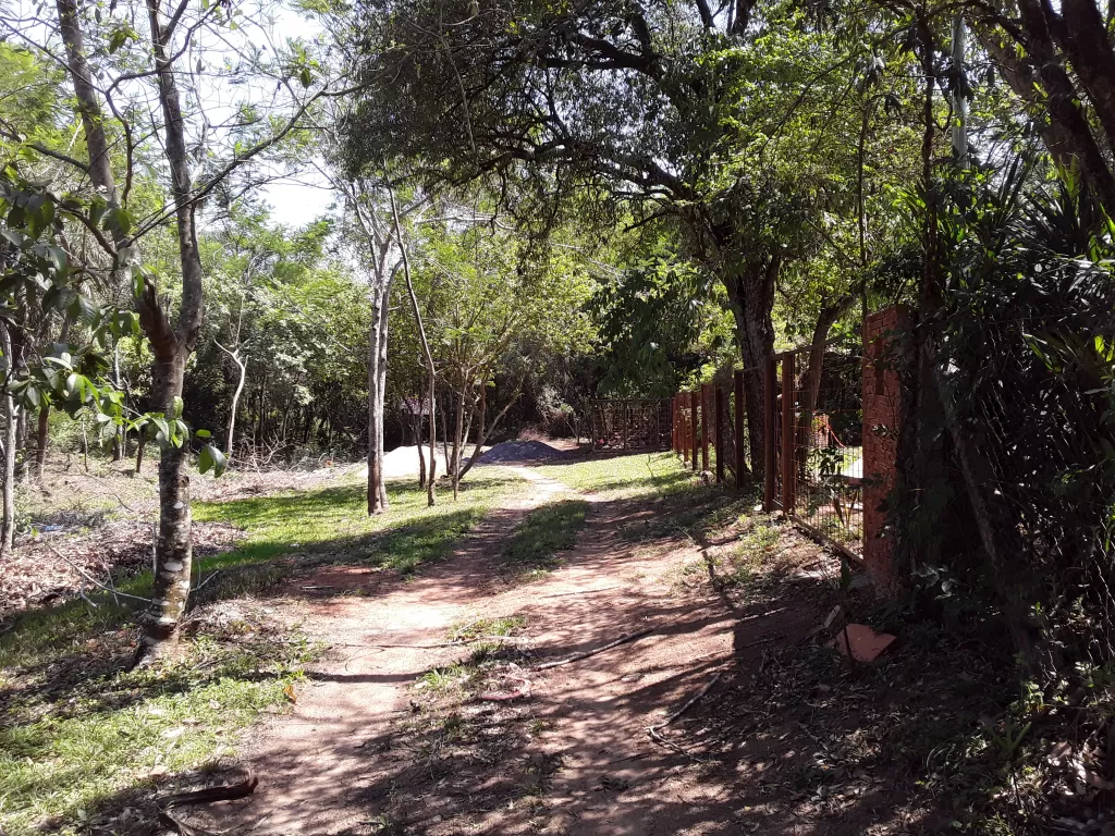VENDO 204 HECTAREAS EN MINGA GUAZU — foto 2