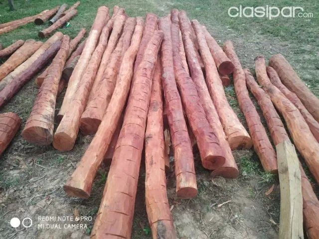 Postes de madera 4 metros - Madera Hogar