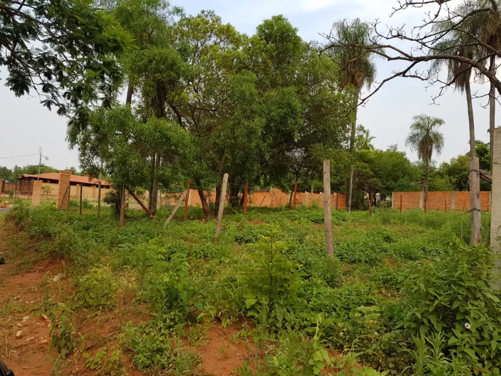 Terreno en Aregua — foto 2