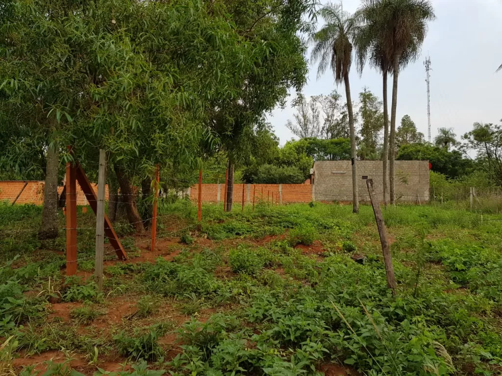 Terreno en Aregua — foto 3