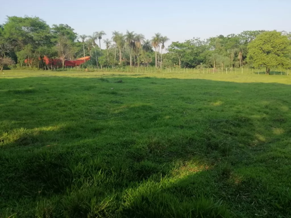 VENDO TERRENO DE 1Ha. Y MEDIA EN LUQUE — foto 2