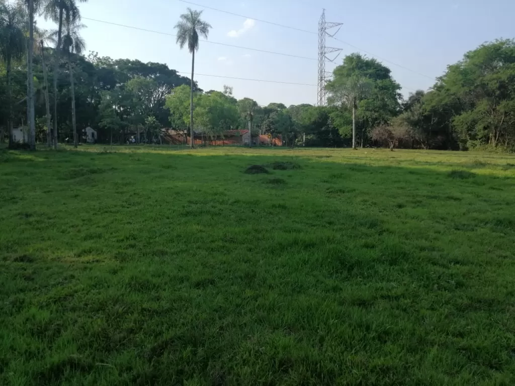 VENDO TERRENO DE 1Ha. Y MEDIA EN LUQUE — foto 3