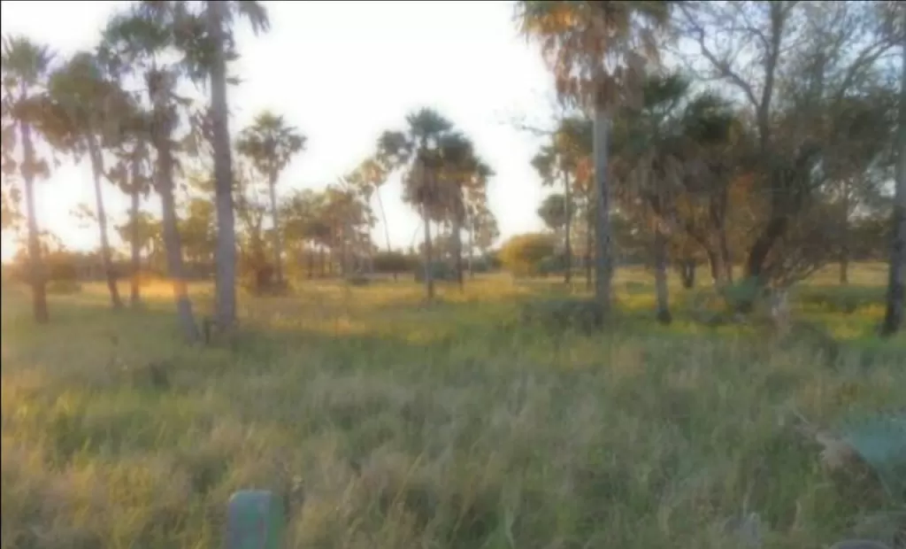 VILLA HAYES, ACEPAR: MARAVILLOSAS 228 HAS S RÍO PARAGUAY, IDEAL P PUERTO Y OTROS. — foto 3
