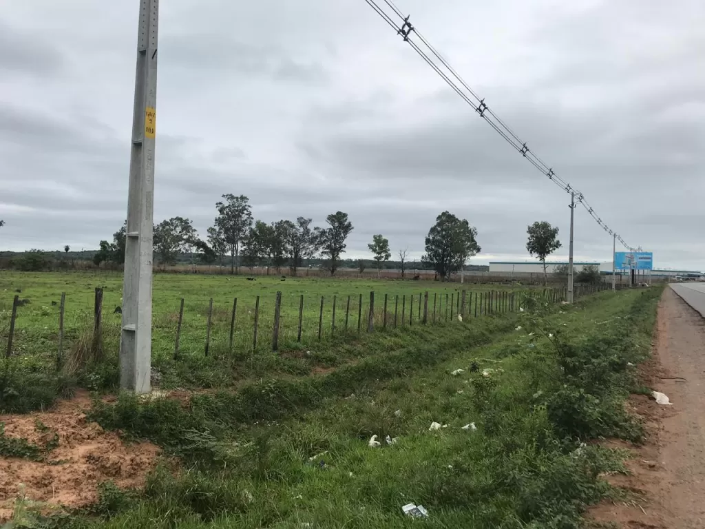 Propiedad con 26 Hectáreas en Guarambaré, sobre acceso sur. — foto 2