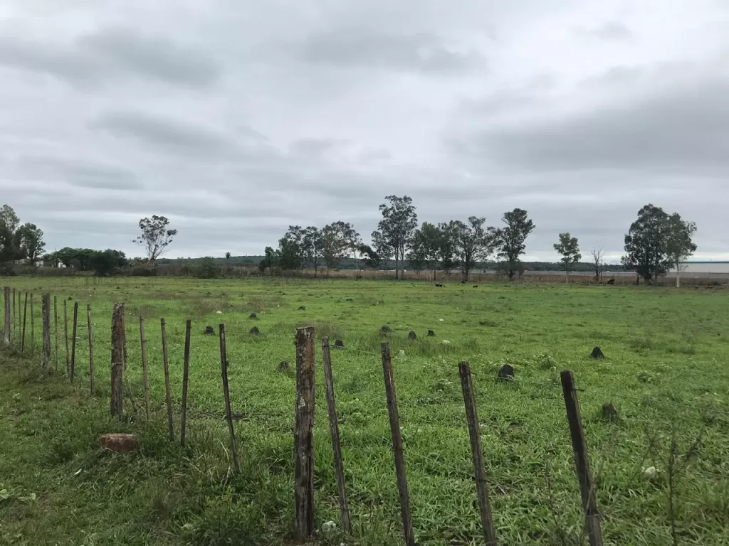 Propiedad con 26 Hectáreas en Guarambaré, sobre acceso sur. — foto 3