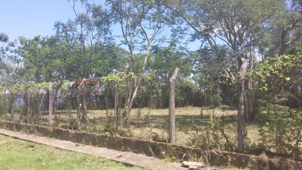 TERRENO 3.000 M2 SOBRE EL LAGO SAN BERNARDINO VENDO — foto 3