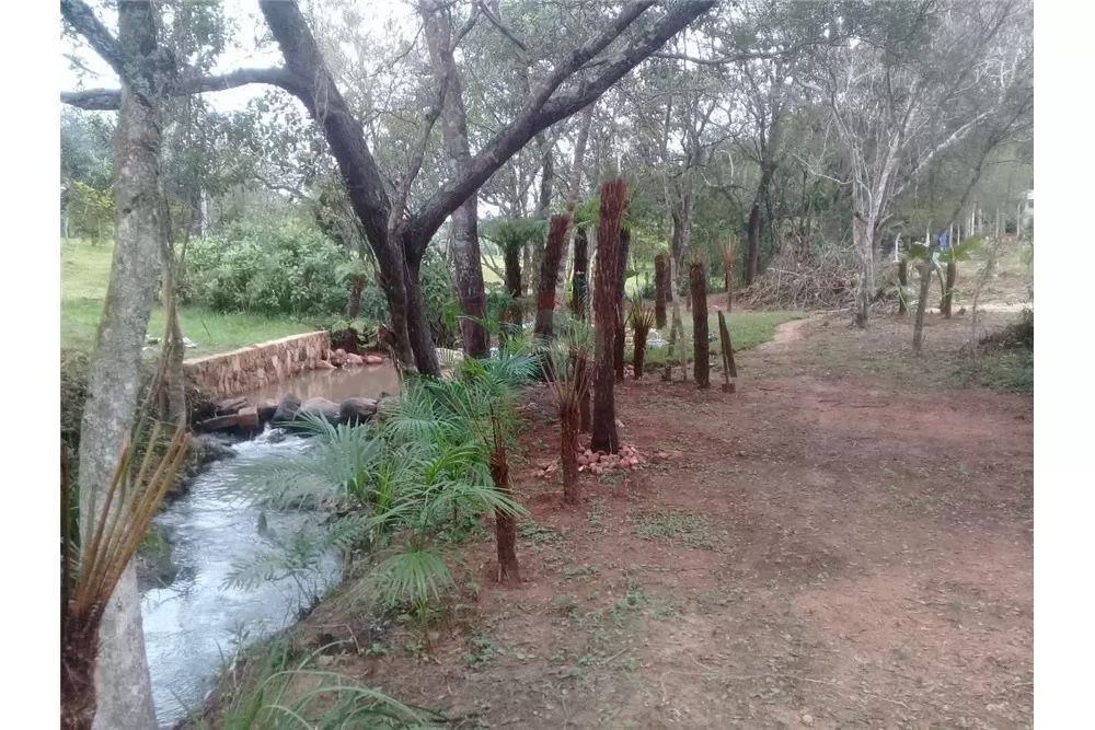 VENDO PROPIEDAD DE 6 HA CON ARROYO EN ALTOS 350,000 USD — foto 2