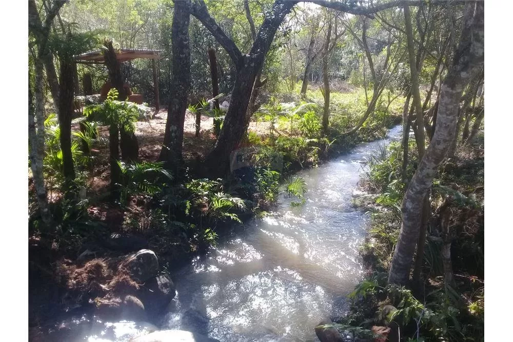 VENDO PROPIEDAD DE 6 HA CON ARROYO EN ALTOS 350,000 USD — foto 3