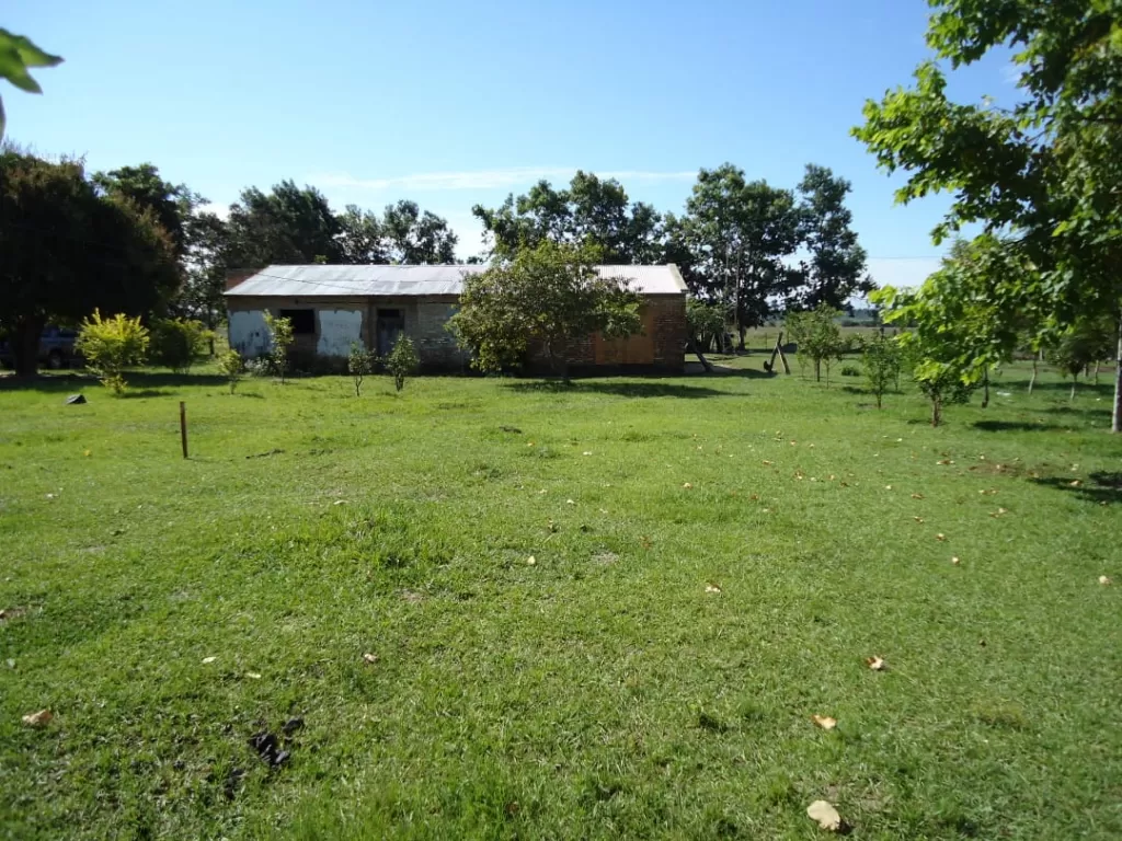 GRAL. AQUINO, SAN PEDRO: MAGNIFICA ESTANCIA AGROGANADERA EN FUNCIONAMIENTO, CAMPOS, PASTUR — foto 2