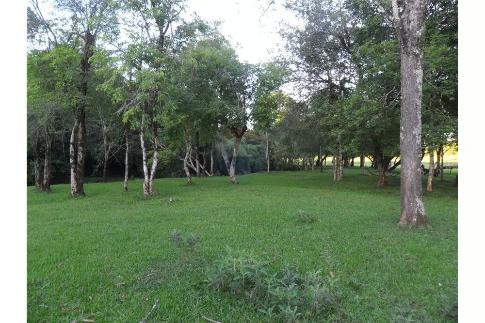 Terreno de 40 has cerca del aeropuerto de Encarnación-. 220,000 USD — foto 3