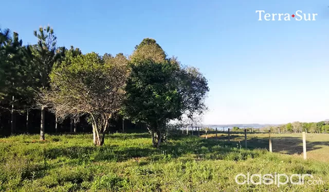 CASA QUINTA CON TERRENOS — foto 2