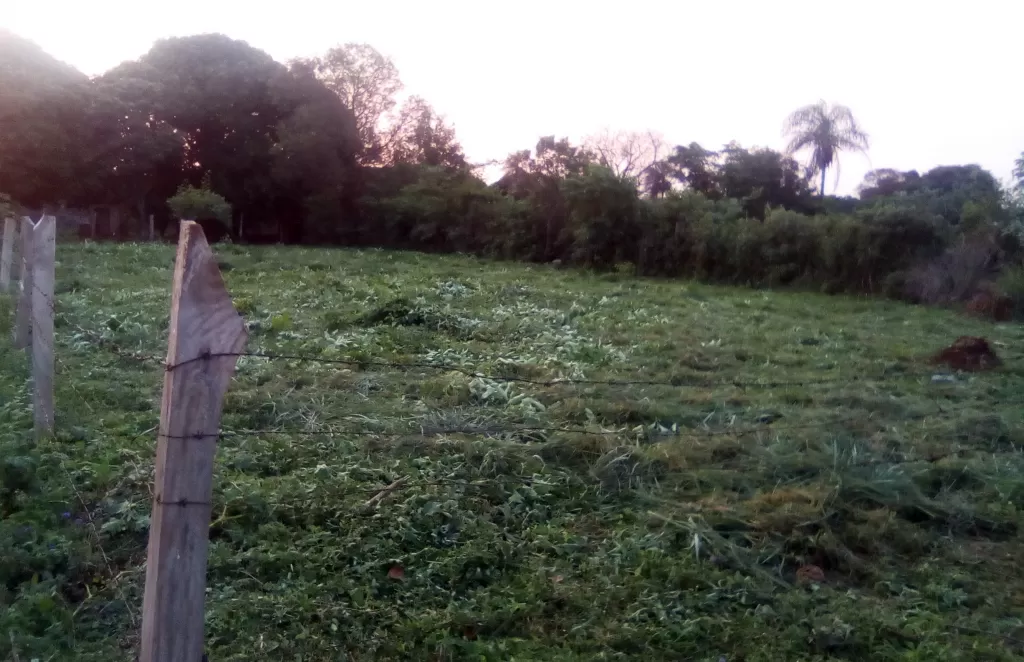vendo terreno en la ciudad de san cosme y damian — foto 2