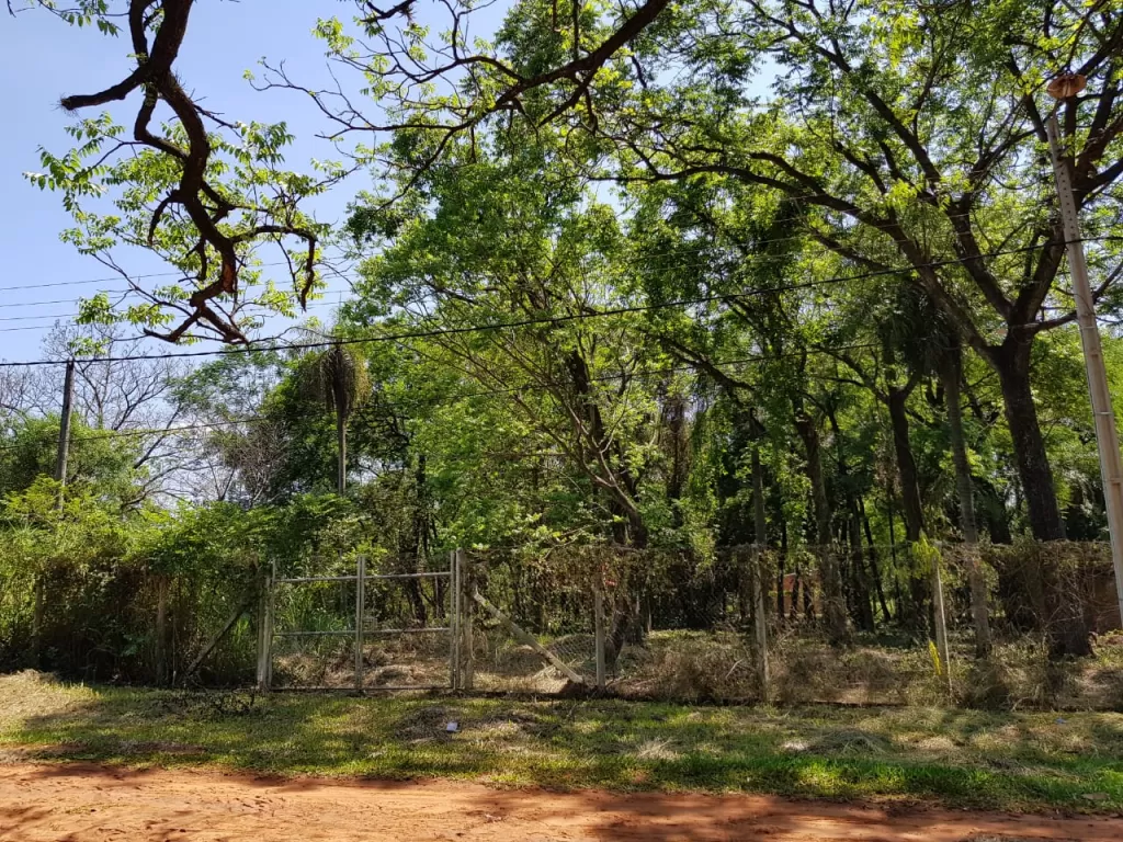 VENDO IMPORTANTE TERRENO DETRAS DE SHOPPING PINEDO — foto 2